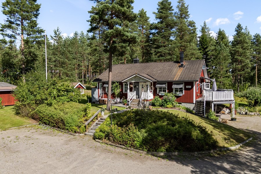 Gråsala 293