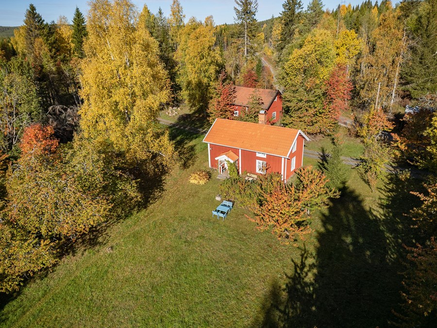 Vintjärn 41